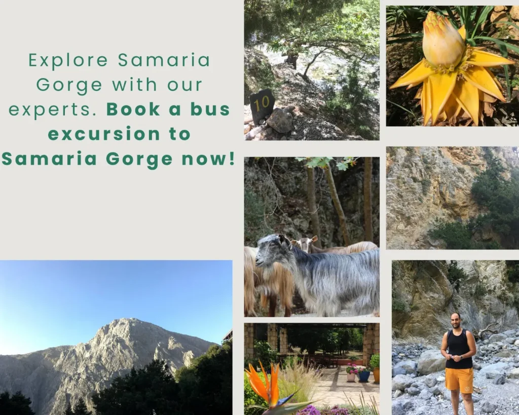 Samaria Gorge by Bus from Chania