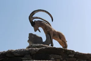 Cretan Goat-Kri-Kri- excursion in Chania by Despina Studios