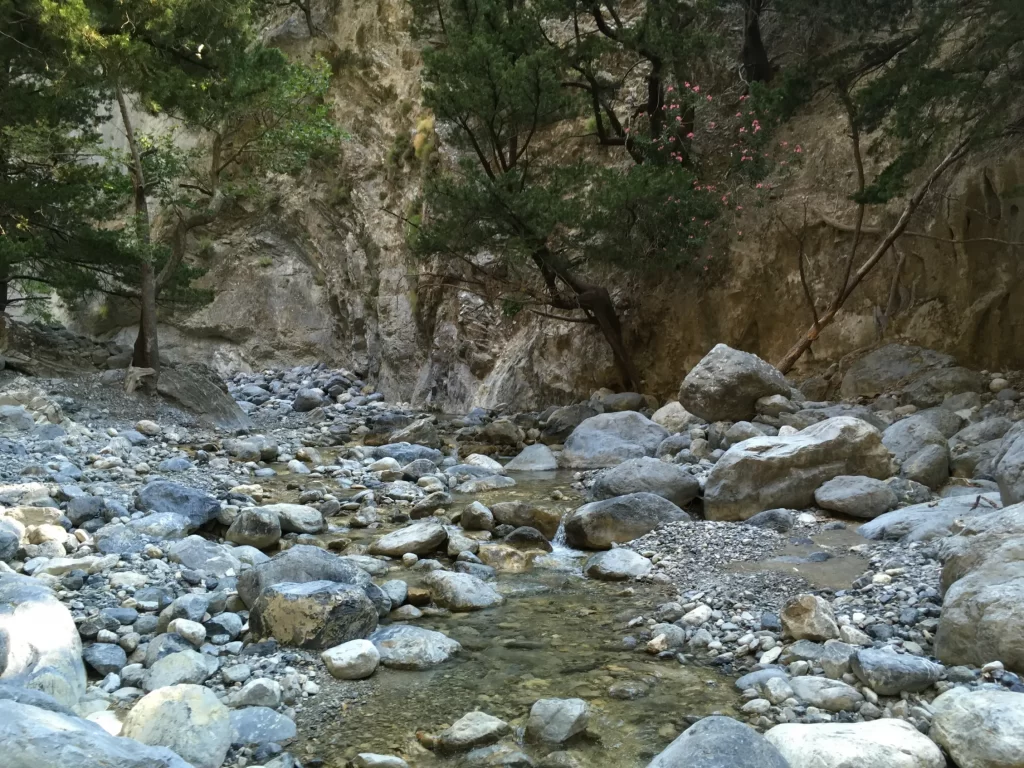Samaria Gorge- Water in the Samaria Gorge