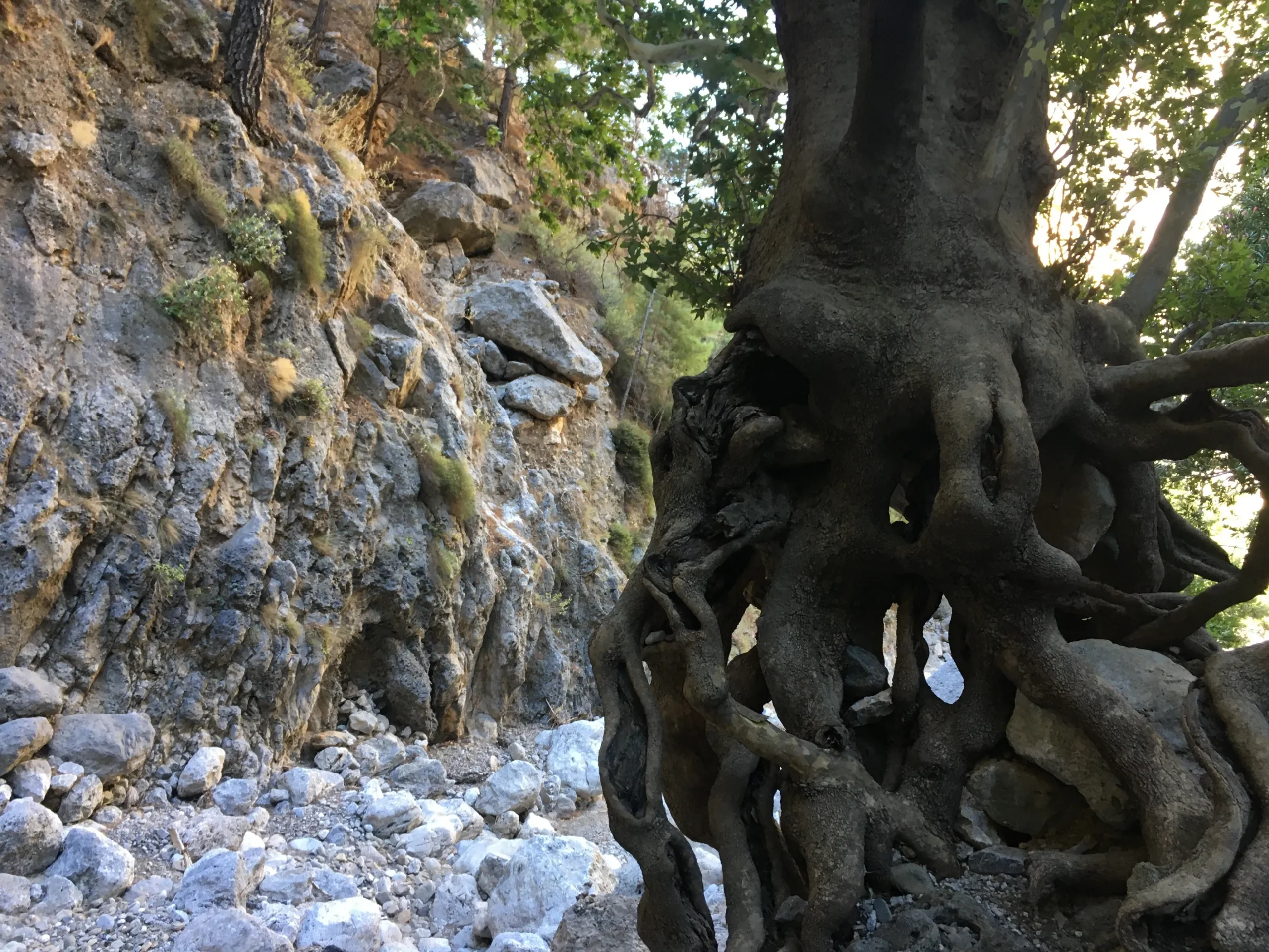 Irini gorge - holidays in Chania Crete