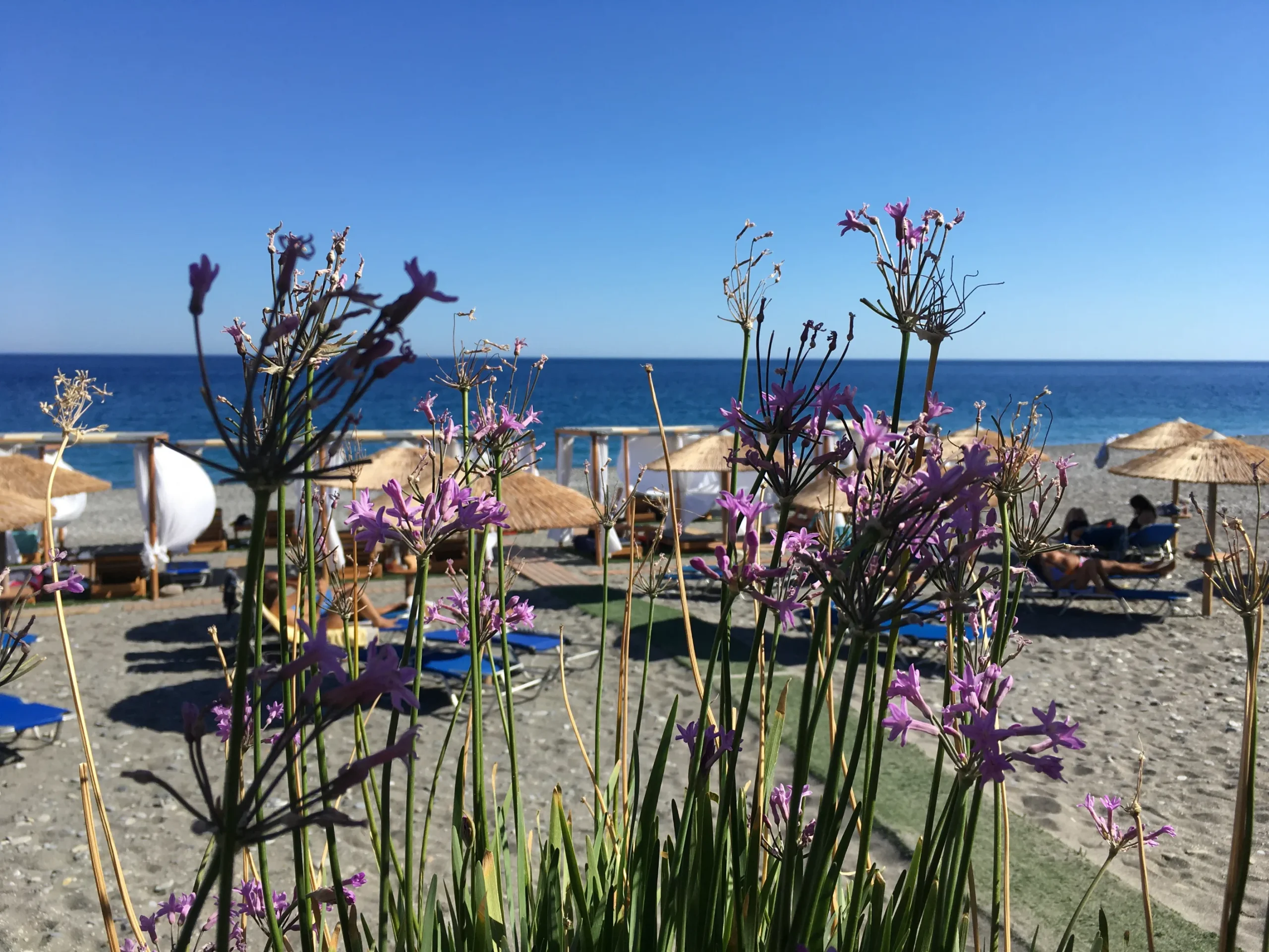sougia beach - holidays in Chania in June - Despina Studios Hotel in Chania Crete
